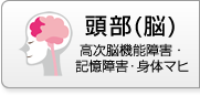 頭部（脳） 高次脳機能障害・記憶障害・身体マヒ