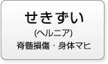 脊髄（ヘルニア） 脊髄損傷・身体マヒ