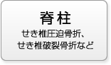 脊柱 せき椎圧迫骨折、せき椎破裂骨折など
