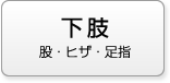 下肢 股・ヒザ・足指
